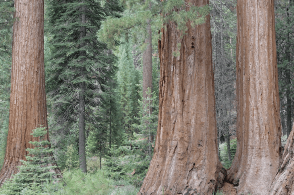 Yosemite – day&nbsp;1