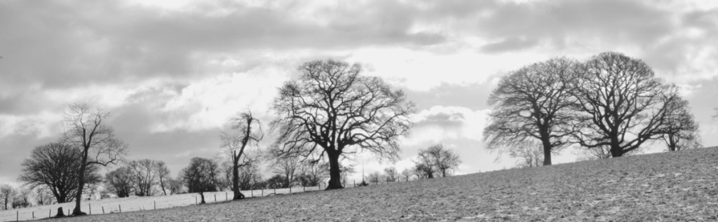 Winter on the Welsh&nbsp;borders