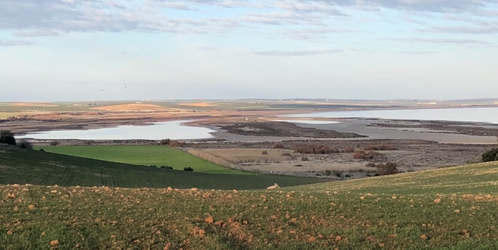 Days 4-5: Fuente de Piedra