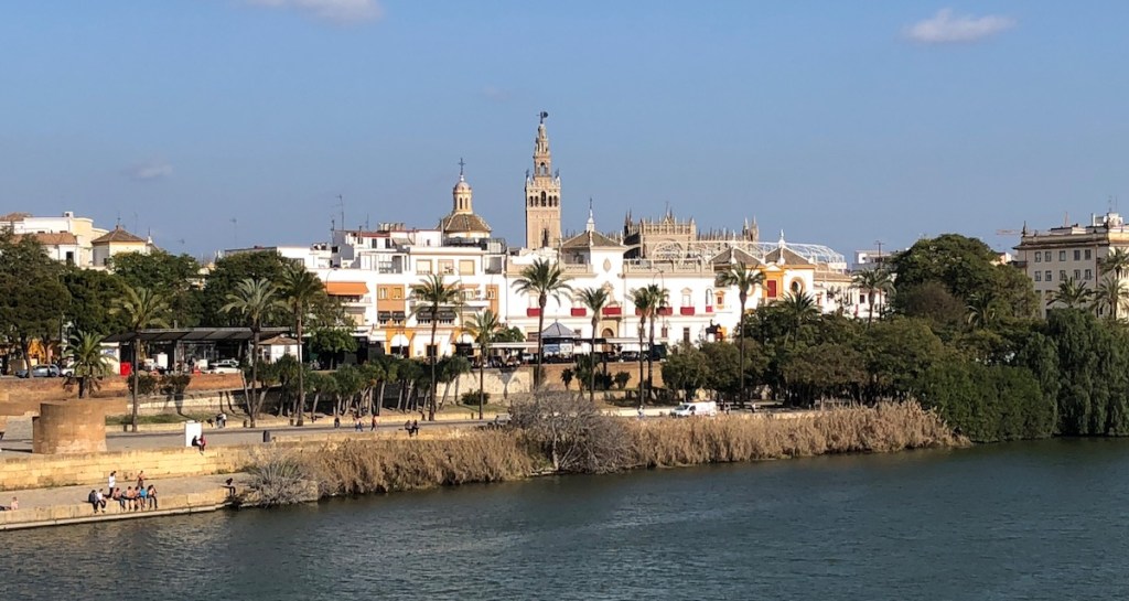 Seville Marathon (days 39-44)